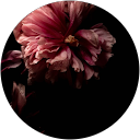 Julie Bedsi profile picture